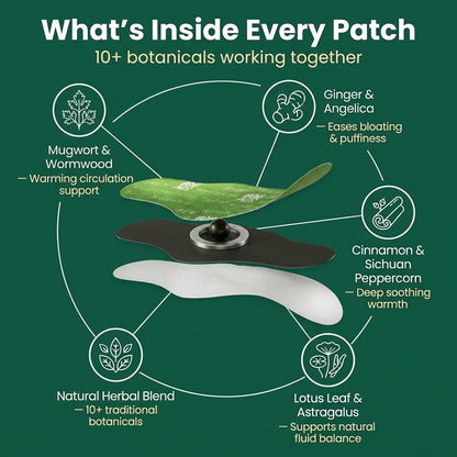 Vendra Herbal Slim Patch
